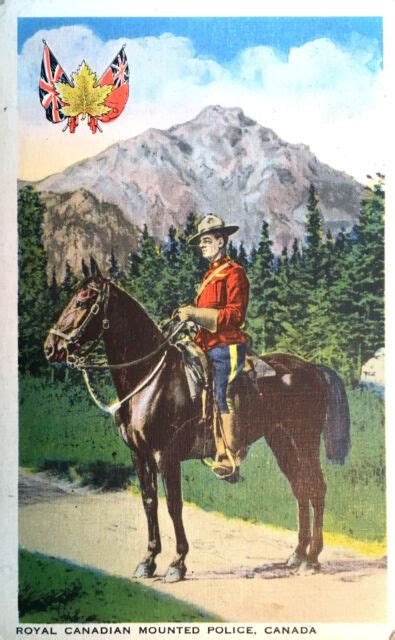 Vintage Postcard Of Royal Canadian Mounted Police Circa 1942 Ebay