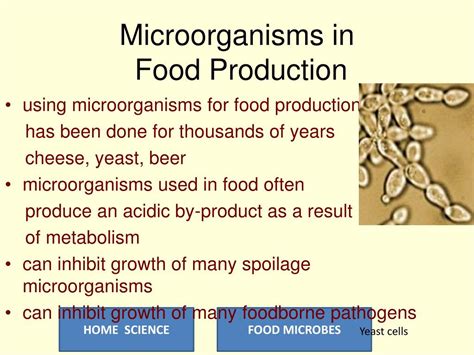ppt food microbes powerpoint presentation free download id 7306795