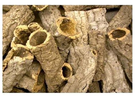 Bulk Virgin Cork Bark Round Mixed 10lb Box - Wabash River Reptiles