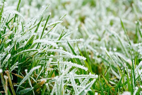 How To Care For Your Lawn This Winter Extreme How To Blog
