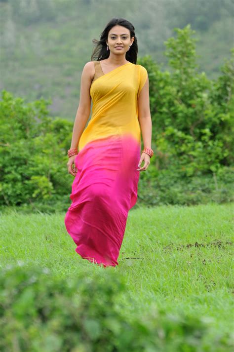 Latest Movie Masala Nikitha Narayan New Hot Saree Photos Nikitha Hot