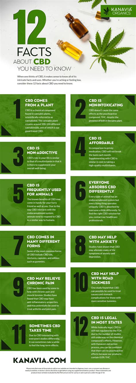 12 Facts About Cbd You Need To Know Kanavia Organics