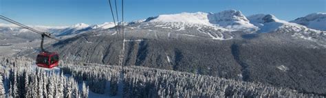 Snowboarder Dies In Tree Well At Whistler First Tracks Online Ski