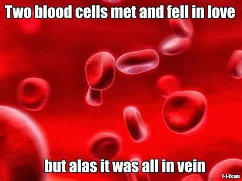 Blood Joke Two Red Blood Cells Met And Fell In Love But Alas It Was