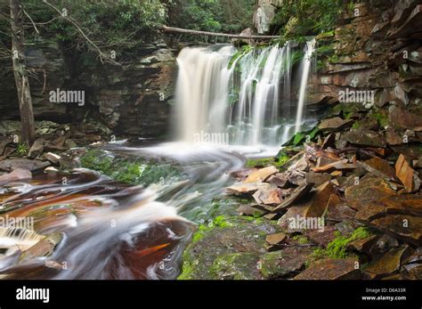 Elakala Waterfalls Blackwater Falls State Park West Virginia Usa Stock
