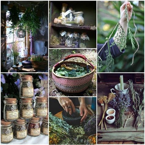 Cottage Witch Aesthetic Magic Aesthetic Magical Herbs Magical Garden