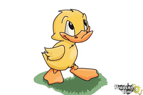 How To Draw A Duckling Drawingnow