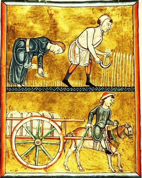 Medieval Occupations And Jobs Farmer History And Life Of Peasants