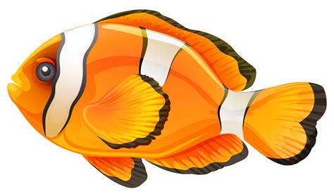 Clownfish Clip Art Fish Png Download 29041697 Free Transparent