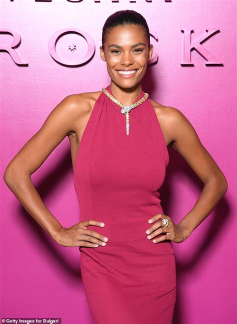 Vincent Cassels Wife Tina Kunakey Exudes Glamour In A Fuchsia Gown At