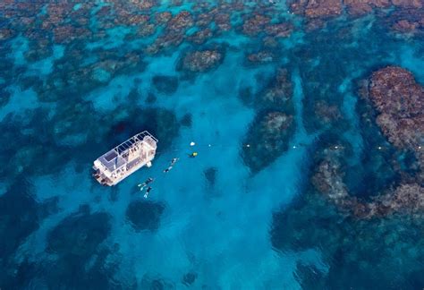 Explore The Aquatic Wonderland Off Lady Elliot Island Travel Insider