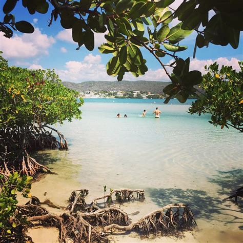 Cuáles Son Las Nueve Mejores Playas De Puerto Rico Para Conocer En El