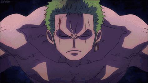 See more about one piece, anime and zoro. One Piece Zoro Gone