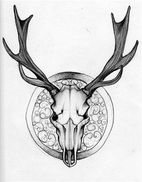 Drawings Of Deer Skulls Free Download On Clipartmag