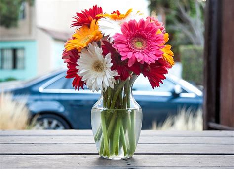 Maybe you would like to learn more about one of these? Free photo: Flower Vase, Vase, Flowers - Free Image on ...
