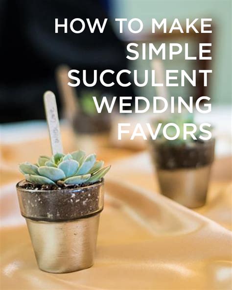 Succulent Wedding Favors A Simple And Beautiful Favor Idea
