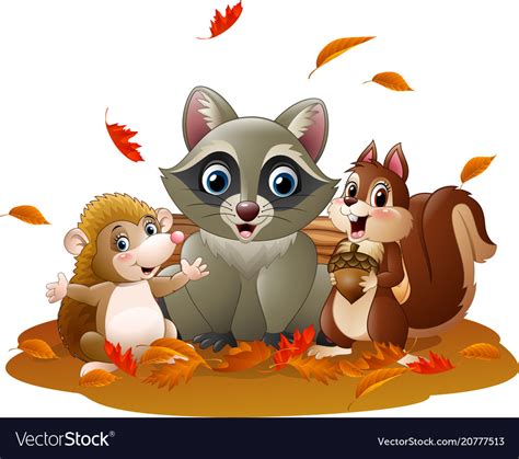 Cartoon Funny Raccoon Hedgehog And Squirrel In Th Vector Image