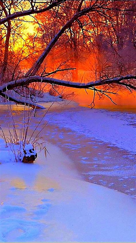 River Trees Sunset Winter Wonderland The Whole Package All Together