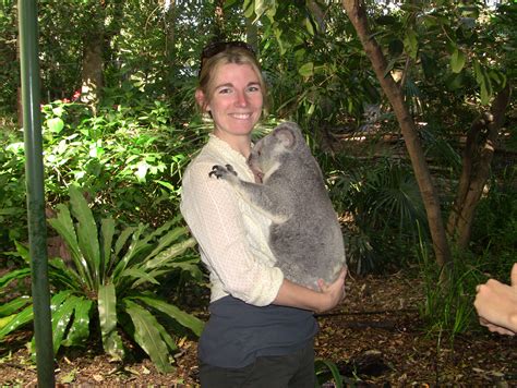 Hold A Koala In You Hands Lone Pine Koala Sanctuary Brisbane