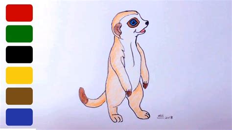 How To Draw A Baby Meerkat Youtube
