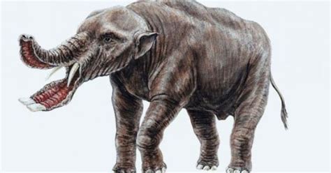 Prehistoric Elephants Click Thru To See More Science Pinterest
