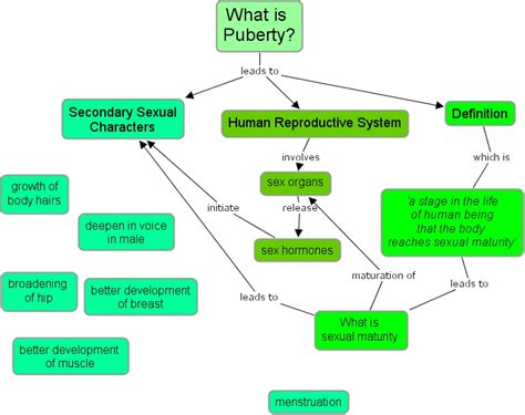 Puberty is the point in life when an adolescent becomes able to sexually reproduce. IHMC CmapTools - Concept Map :: What is Puberty