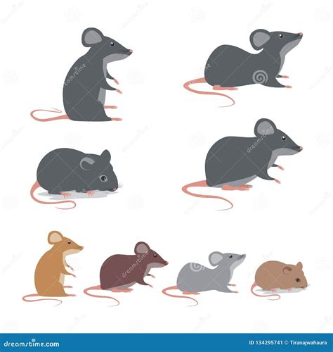 Rat Mice Collection With Cute And Lovely Cartoon Illustration