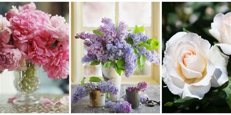 Best Flowers For Spring Most Popular Spring Flowers