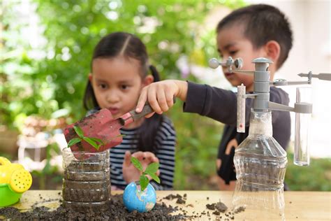 La Importancia De La Educación Ambiental Para Niños Protegiendo Personas