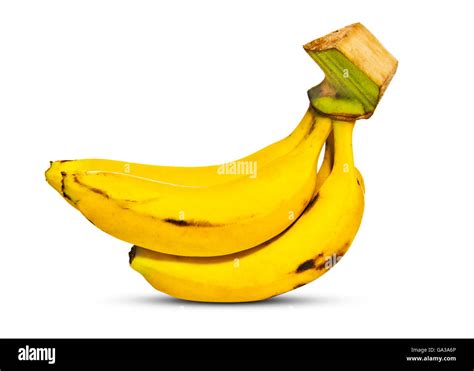 Fresh Banana Isolated On White Background Stock Photo Alamy