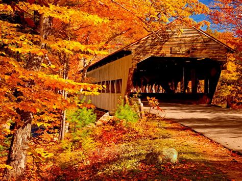 Autumn Covered Bridge Wallpaper Wallpapersafari