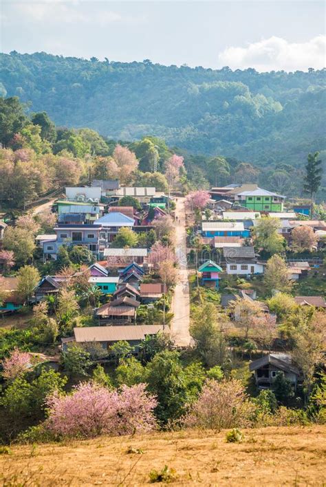 Beautiful Ban Mai Rong Kla Villages On Forest Mountains Phitsanulok