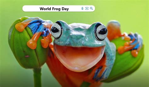 World Frog Day 2022 What Does It Mean Anthropocentrism