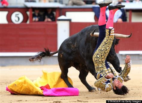 Spanish Bullfight Canceled After 3 Matadors Gruesomely Injured Graphic