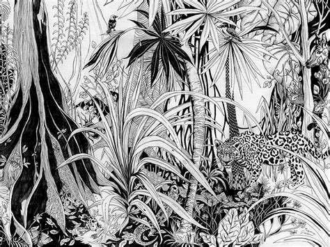 Jungle Lllustration By Theresa Grieben On Dribbble Black Pen Drawing
