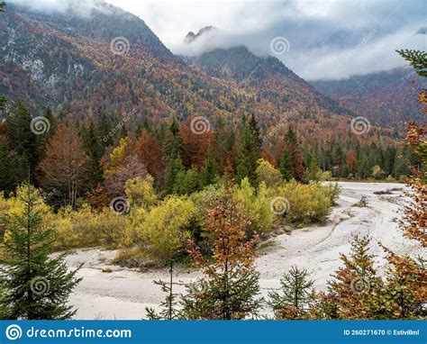 Predil Lake Julian Alps Italy Stock Photo Image Of Landscape