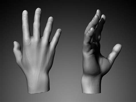 Hand 3d Model Pair Of Human Hands 3d Model Cgtrader