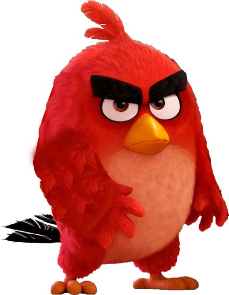 Red Angry Birds Photo 40834643 Fanpop