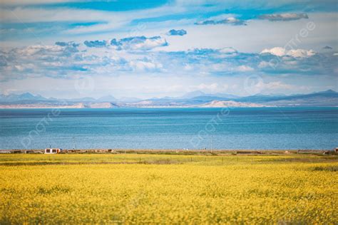 Qinghai Lake Horizon Natural Landscape Background Qinghai Lake