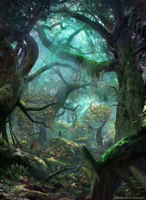 Forest Swamp By Kamila Szutenberg Rearthmind