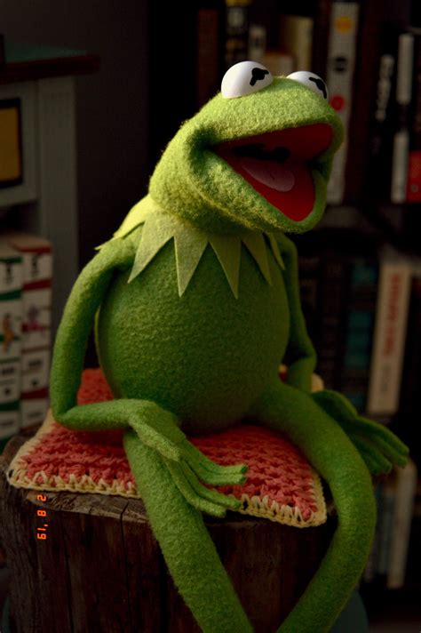 Ecls Kermit The Frog Puppet Replica Using My Newest