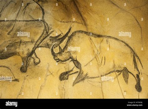 Replica Of Prehistoric Rock Paintings In Chauvet Cave Showing Woolly