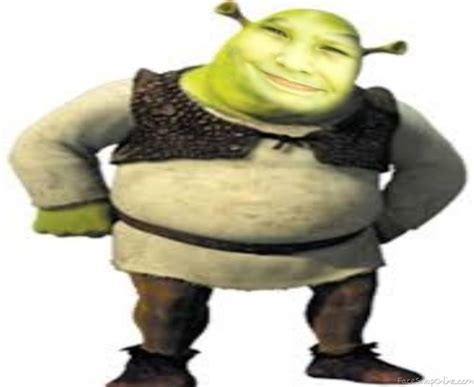 Shrek Face Swap Is The New Format Rmemes Images And Photos Finder