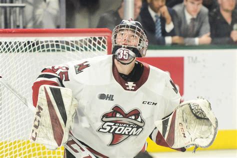 Nico Daws Leads Guelph Storm Hopefuls Into Nhl Draft Guelph News