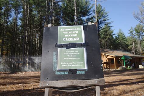 Dec Denies Permit For Outside Group To Operate Adirondack Wildlife