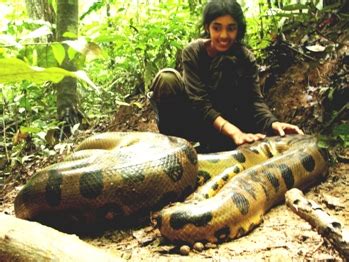 Secrets Of The Amazon Giant Anacondas And Floating Forests An