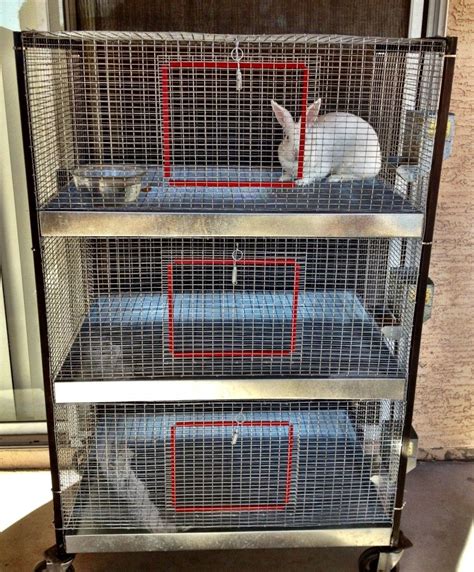 Rabbit Cages Hostile Hare Meat Rabbit Cages Hutches Housing Rabbit