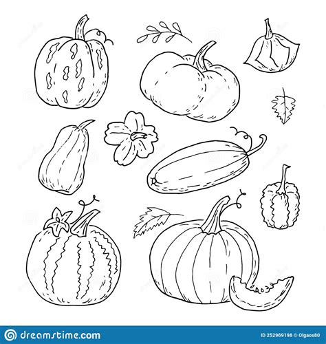 A Set Of Pumpkins Of Various Shapes In Doodle Style Stock Vector