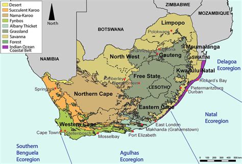 2 South African Terrestrial Biomes Shaded Provinces And Neighbouring