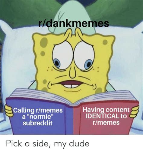 Rdankmemes Having Content Identical To Rmemes Calling Rmemes A Normie